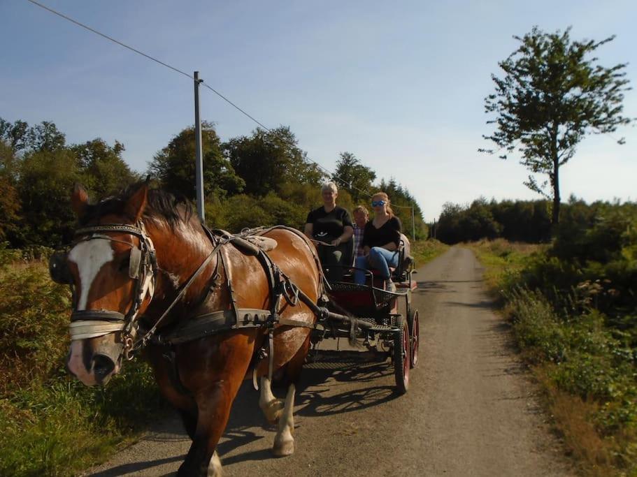 Vila Gite : La Cochetiere : Ancienne Ferme 18Eme Le Grais Exteriér fotografie