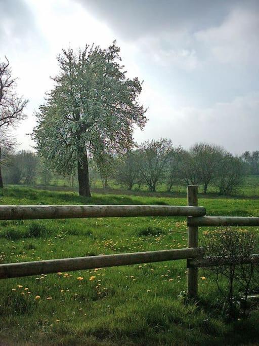 Vila Gite : La Cochetiere : Ancienne Ferme 18Eme Le Grais Exteriér fotografie